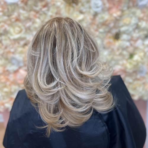 Hair Highlights